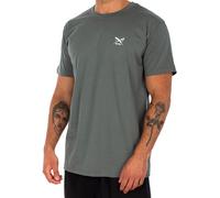 Iriedaily - Chestflag Tee - T-Shirt, Gr. L, grau (JungleGreen)