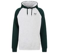 IRIEDAILY De College Hoodie, Bio-Baumwolle, ash Heather, XL