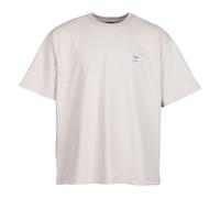 Iriedaily Heavy Flag T-Shirt Cloud Grey (Grau) M
