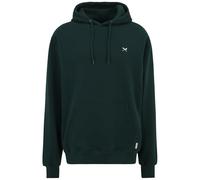 IRIEDAILY MINI FLAG 2 Hoodie 2025 nightforest - M