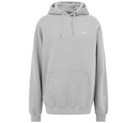 Iriedaily Mini Flag 2 Hoody Cloud Grey (Grau) L