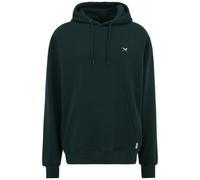 Iriedaily Mini Flag 2 Hoody Nightforest (Grün) XL