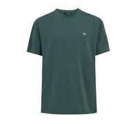 Iriedaily Mini Flag Relaxed Tee Cool Jungle (Grün) M