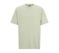 IRIEDAILY Mini Flag Relaxed Tee, Light Sage, XL