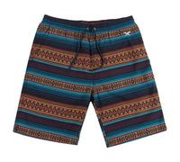 Iriedaily Vintachi Shorts navy Herren Gr. M