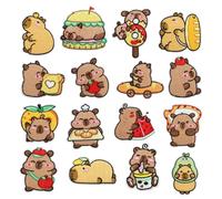 Iron-On Embroidery Patches, 16 Pieces Capybara Badges Set, Aesthetic Animal Patch Stickers for Jacket Hat Backpack Clothing Repair Crafts Handmade Supplies Men Women Kids Teens