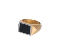 iXXXi Men Herren-Siegelring Audi mattes Gold | 21mm
