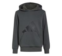 adidas - Kid's Essentials Hoodie - Hoodie, Gr. 152, grau (GreySix/Black)