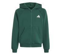 adidas J CLGT FZ HD Kinder | CGREEN/IVORY | 164
