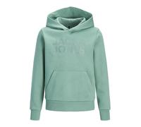 Logo Kapuzenpullover Boys 152 Mineral blue