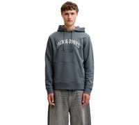 Jack & Jones Kapuzensweatshirt JJEDENVER LOGO SWEAT HOOD SN – Herren M, Blau (turbulence)