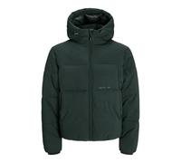 Steppjacke JACK & JONES "JORVESTERBRO PUFFER JACKET AW24 SN" Gr. XXL, schwarz (forest river) Herren Jacken (27713316-XXL) forest river