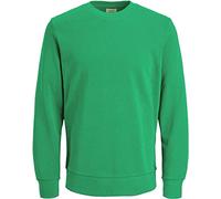 JACK & JONES Herren JJEHOLMEN Sweat Crew Neck, Langarm Pullover, Island Green/REG FIT, S