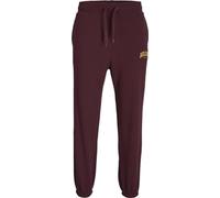JACK & JONES Herren Jogginghose Jpstgordon Jjjosh Sweat Pant Freizeit Hose (DE/NL/SE/PL, Alphanumerisch, L, Regular, Regular, Port Royale)