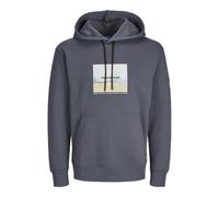 JACK & JONES Herren Kapuzenpullover Gedruckt, Iron Gate,M