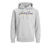 JACK & JONES Herren Kapuzenpullover Jwhtons Upscale Sweat Hoodie Print (as3, Alpha, l, Regular, Regular, Light Grey Melange)