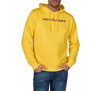 Jack & Jones Hoodie Herren mit Druck JJMORTY Regular Fit