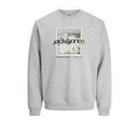 Kapuzensweatshirt JACK & JONES "JCOFLARE FRONT PRINT SWEAT CREW NECK", Herren, Gr. M, light grau melange, angeraute Sweatware, Obermaterial: 70% Baumwolle, 30% Polyester, meliert, relaxed fit, Rundhal