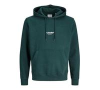 JACK & JONES Jjesoho Sweat Hood Noos