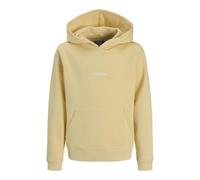 JACK & JONES Jjesoho Sweat Hood Noos Mni