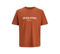 JACK & JONES Jorcanggu Tee Ss Crew Neck FST Jnr