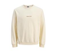 JACK & JONES Jornorrebro Emb Sweat Crew Noos Jnr