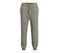 JACK & JONES Jpstgordon Bradley Sweat Pant Noos