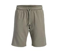 JACK & JONES Jpstgordon Bradley Sweat Shorts Mid Noos