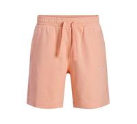 JACK & JONES Jpstkarl Norrebro Sweat Shorts Reg Sn