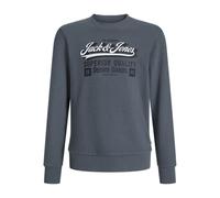 JACK & JONES JUNIOR Jjelogo Sweat Crew 2 Col Aw25 Noos Jnr