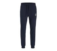 JACK & JONES Male Jogginghose Regular Fit Jogginghose