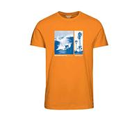 JACK & JONES PLUS Men's JORBOOSTER Tee SS Crew Neck MAR23 PLS T-Shirt, Iceland Poppy, 4XL