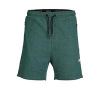 JACK & JONES PLUS Men's JPSTAIR Sweat Shorts NB PLS Sweatshorts, Deep Teal, 42
