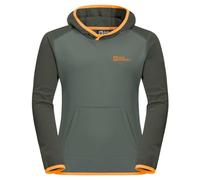 Jack Wolfskin Active Pullover Hedge Green 116