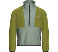 Jack Wolfskin Colorblock Taunus Half Zip K green zinnia (E0272) 176