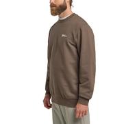 Langarmshirt JACK WOLFSKIN "ESSENTIAL CREWNECK M", Herren, Gr. XL (54/56), braun (cold, coffee), Oberstoff: 100% BAUMWOLLE ; Kontrastmaterial 1: 95% BAUMWOLLE, 5% ELASTHAN; Kontrastmaterial 2: 100% BA