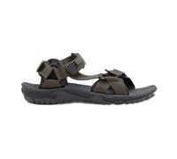Jack Wolfskin Herren Lakewood Ride M Sandale, Cold Coffee, 48 EU
