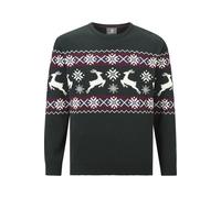 Jan Vanderstorm Pullover Herren grün, XXXL