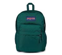 JanSport Rucksack Big Day Pack – 15in Laptopfach, 43,5x19x32,5cm – Deep Juniper (Mehrfarbig)