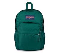 JanSport Rucksack Big Day Pack – 15in Laptopfach, 43,5x19x32,5cm – Deep Juniper (Mehrfarbig)