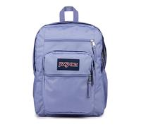 JanSport Laptop-Rucksack, Computertasche mit 2 Fächern, Lavendel-Asche, Einheitsgröße, Laptop-Rucksack - Computertasche mit 2 Fächern