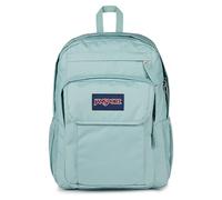 JANSPORT Union Pack Großer Rucksack, 15in -Laptopfach, 42 x 14 x 32 cm, Faded Sage (Green)