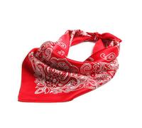 JERLA Damen Herren Kleiner quadratischer Satin-Schal aus 100 % echter Maulbeerseide, Paisley-Muster, f?r Haare, Kopf und Gesicht, 21 x 21 Paisley-Rot