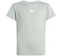 JG GT PZ TEE OWHITE/WOSA/WHITE 116