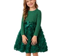 JiAmy Mädchen Kleider Langarm Hübsches Kleinkinder 3D-Grafik Rosen Tüllkleid Festliches Kinder Partykleid Geburtstagskleid mit Satinbund für Kleine Mädchen für 2-3 Jahre, Grün