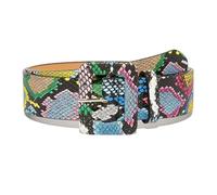 JIARY Tiermuster Gürtel Damen, Quadratische Schnalle Schlangenmuster Gürtel, Mode Casual Damengürtel Für Jeans Kleider Hosen,Party,Streetstyle Taillengürtel Damen,Waist 72~88CM