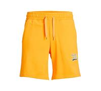 JJXX JPSTTREVOR Sweat Shorts GMS