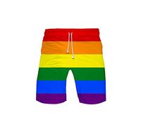 JLTPH Men's LGBT Gay Pride Flag Kurze Hose Summer Beach Surfing Boardshorts Strandshorts Strandhose Hot Pants Trainingshose Jogger Sweatpants