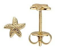Jobo Damen-Ohrstecker Seestern aus 14 Karat 585 Gold