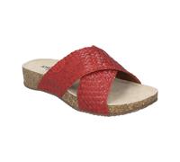 Tonga 70, rot rot 36